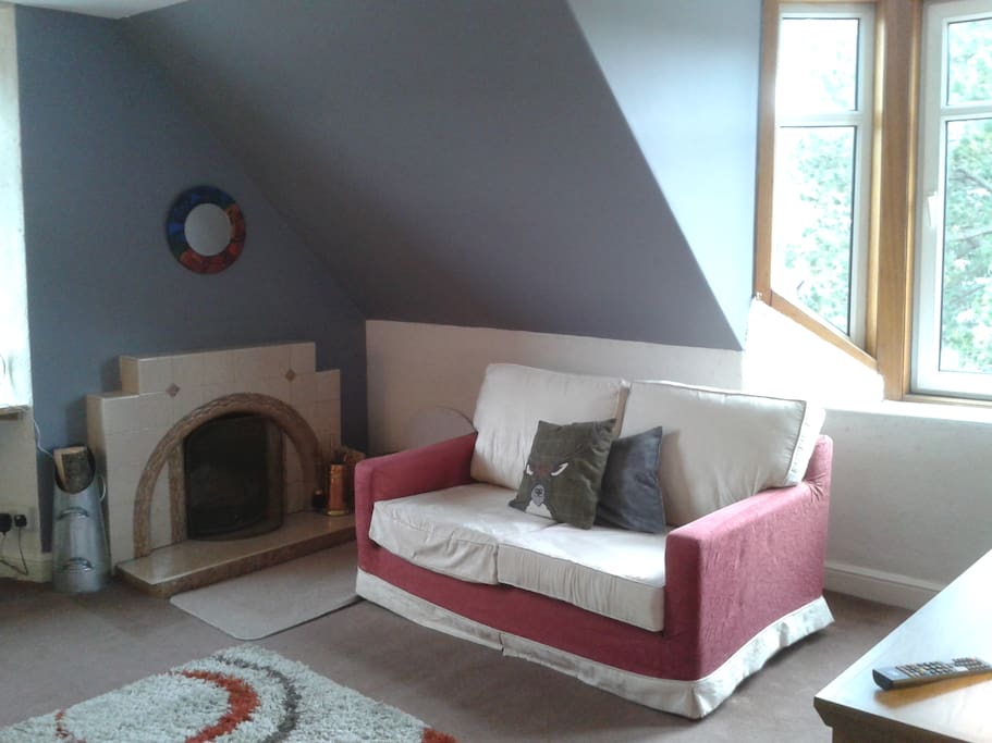 Large modern living room with period features