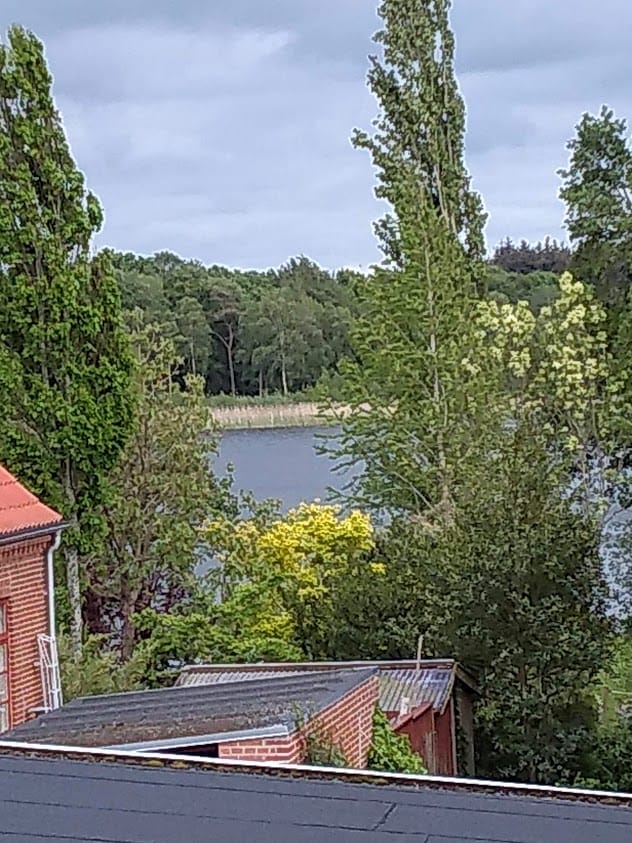 A scenic view showcases lush green trees lining a peaceful lake. Hints of yellow blooms are visible among the greenery, while a small shed is nestled among the foliage, contributing to the natural ambiance of the surroundings.