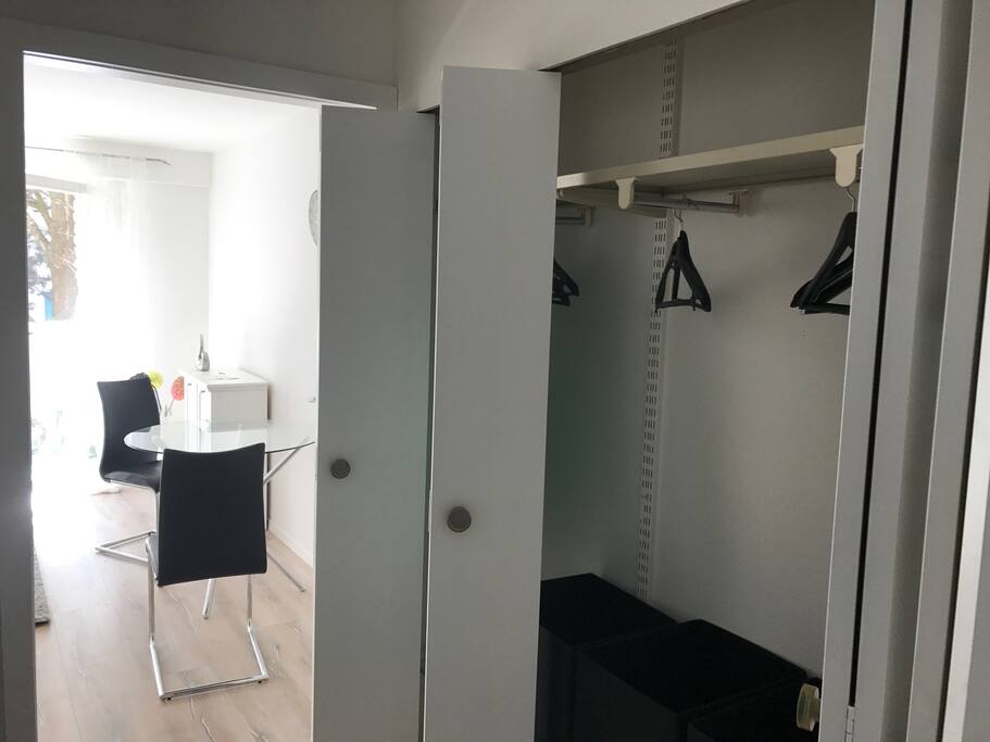 the entrance with the closet on the right