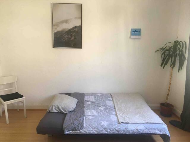Unique cozy Handschuhsheim WG room.