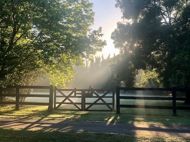 Escape to a picturesque equestrian property…