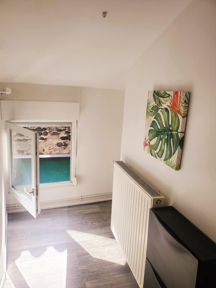 Studio "Rio" à Issoire - Issoire