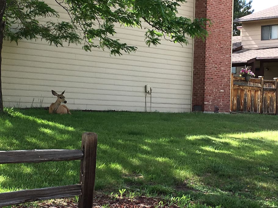House is on a corner lot