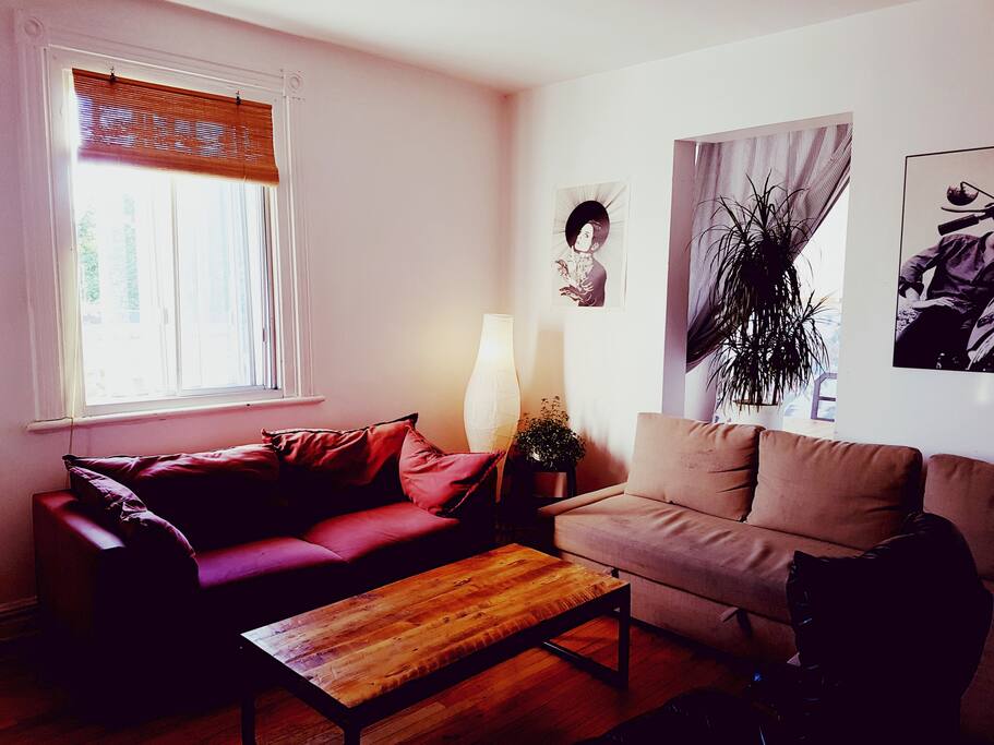 Salon / living room