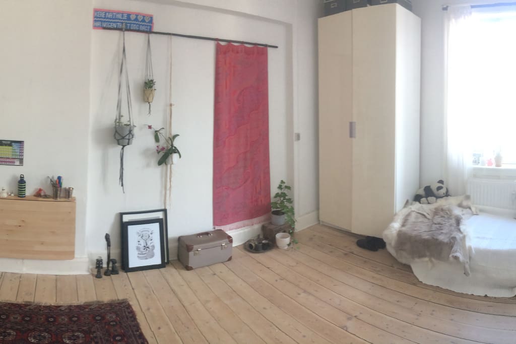 Minimalistic room