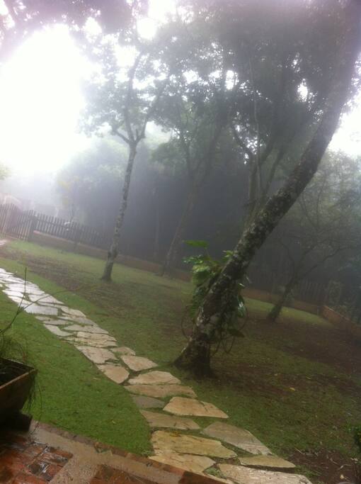 jardim vegetação nativa