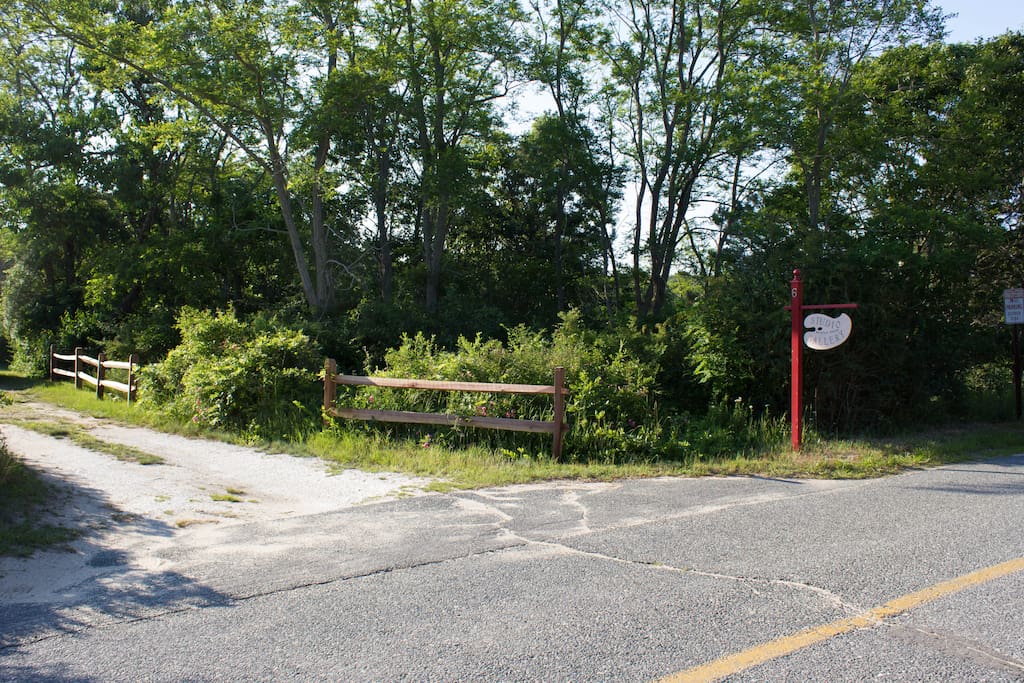 Driveway