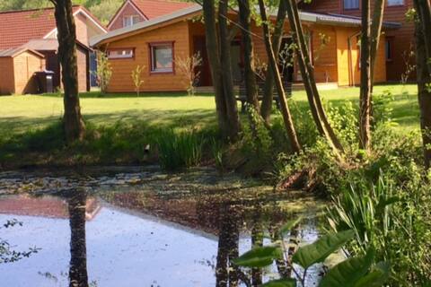 Wooden holiday home with air conditioning and sauna by the pond