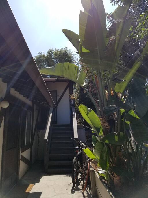 Front entry to house