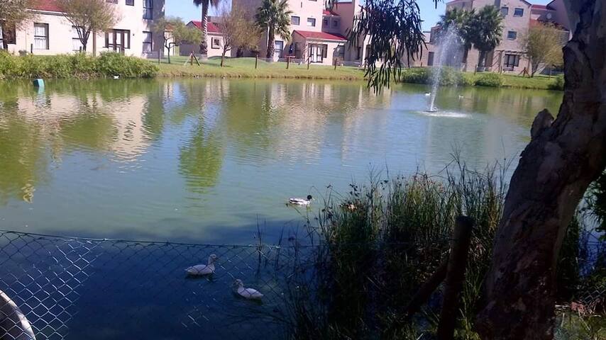 Very bright family style getaway place gallery image 3