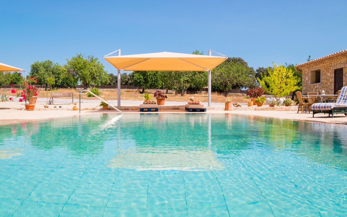 A refreshing swimming pool is set amidst a tranquil outdoor space, surrounded by lush trees and landscaped gardens. Sun loungers are arranged under a shaded canopy, providing a relaxing area for guests. The inviting water reflects the clear sky, creating a serene atmosphere.