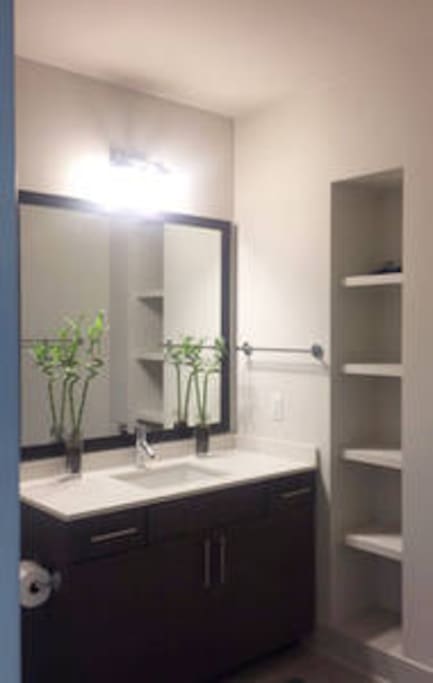 Modern master bathroom within the master bedroom