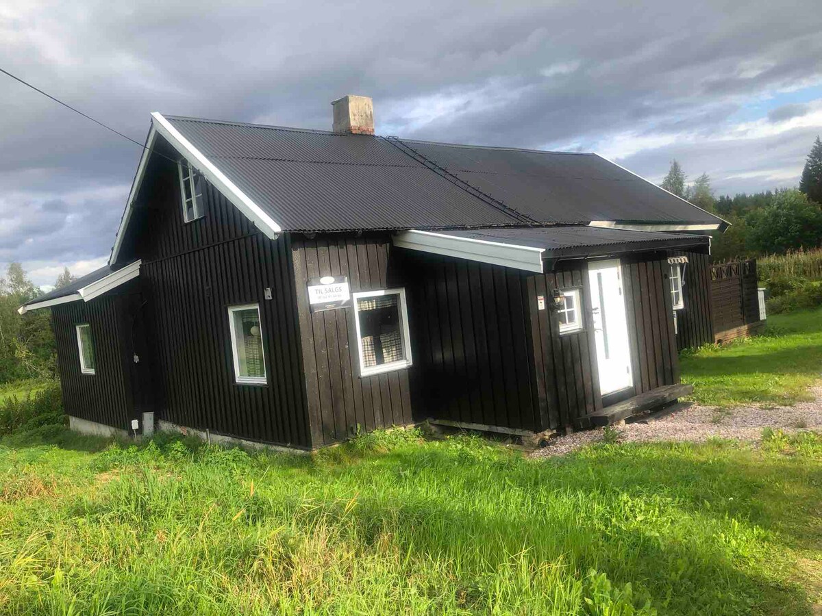 The exterior of a black wooden house is presented, featuring a sloping roof and white trim around windows and the front door. The surrounding green grass indicates a natural setting, with cloudy skies overhead, contributing to a serene environment.