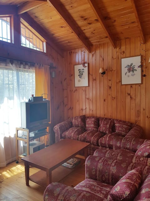 Popular Airbnb listing: Spacious and beautiful house in the Canelo sector in Algarrobo