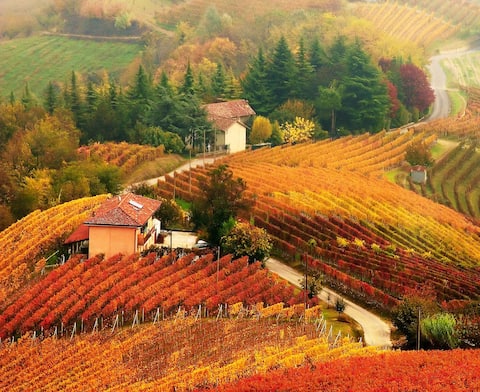 Casa Badinot, Oasis in UNESCO Hills