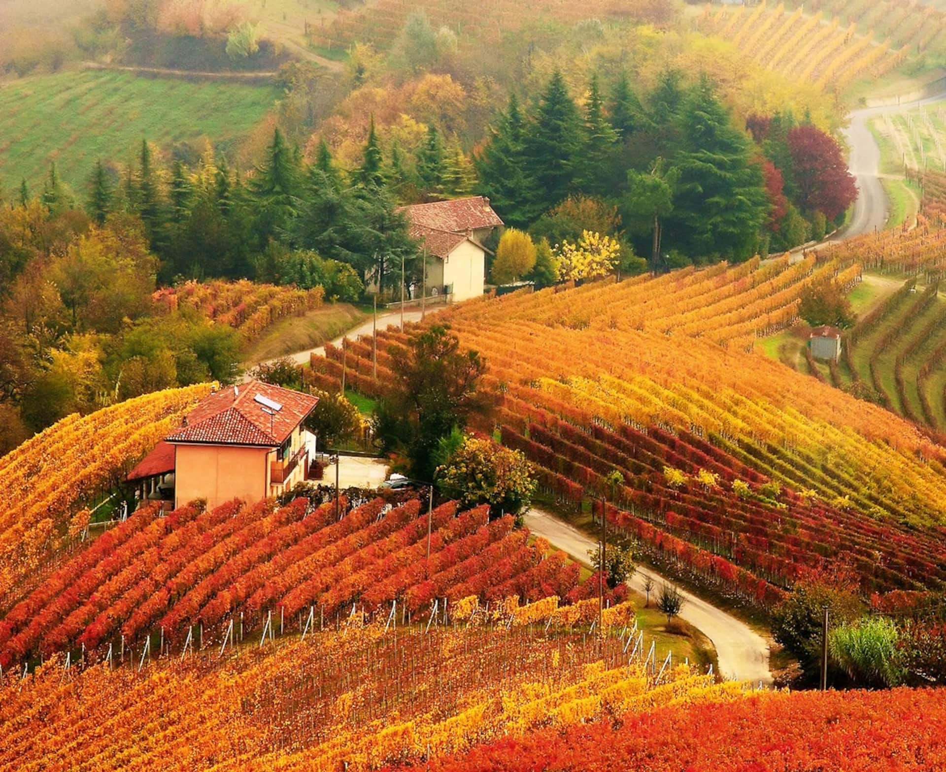 Badinot Haus ist eine Oase in Diano d'Alba, im Herzen der Langhe, in der Nähe von Alba und Barolo