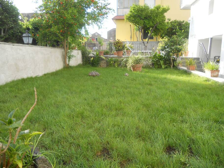 Giardino