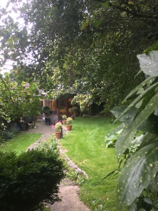 path leading to the studio