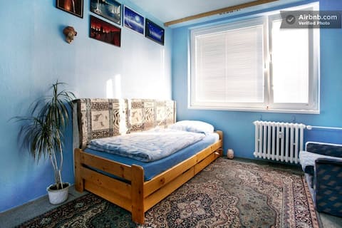 Acogedora habitación vintage en estilo azul