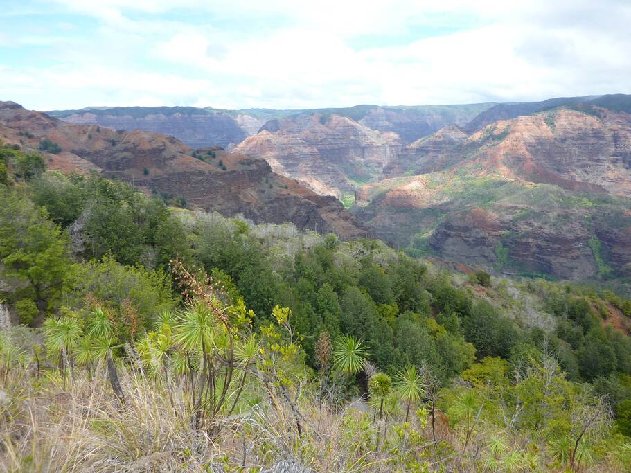 poipu kai resort 3 BR condo, kauai Apartments for Rent in Koloa