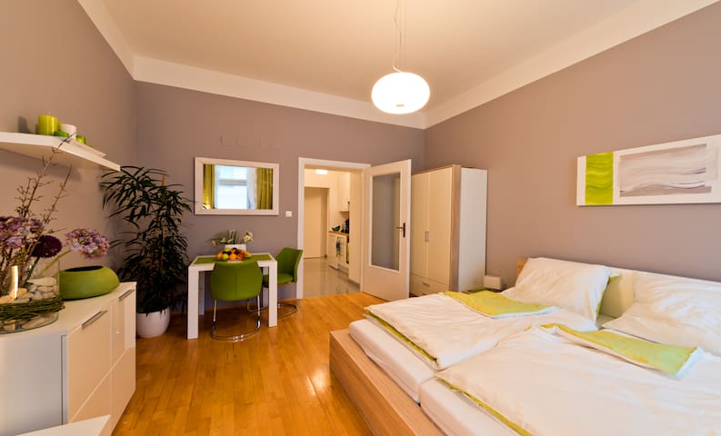 City Apartment centrally located