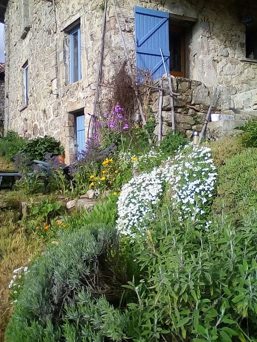 jardin
