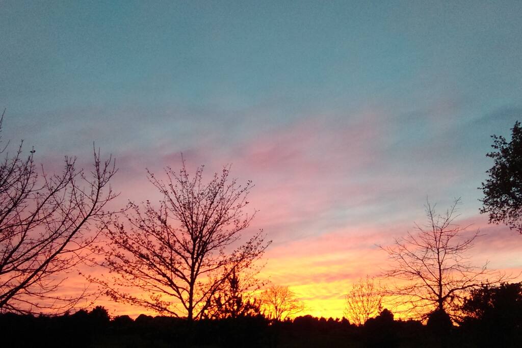 Coucher de soleil sur le golf, vue de la chambre(en hiver)