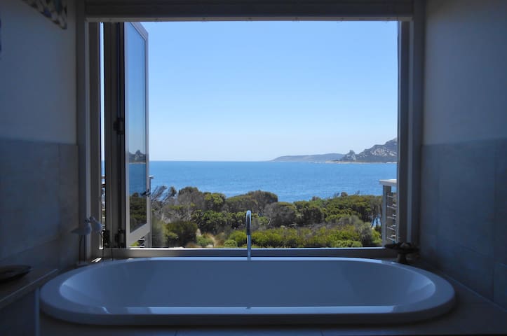 Nautilus 2 gallery image 3