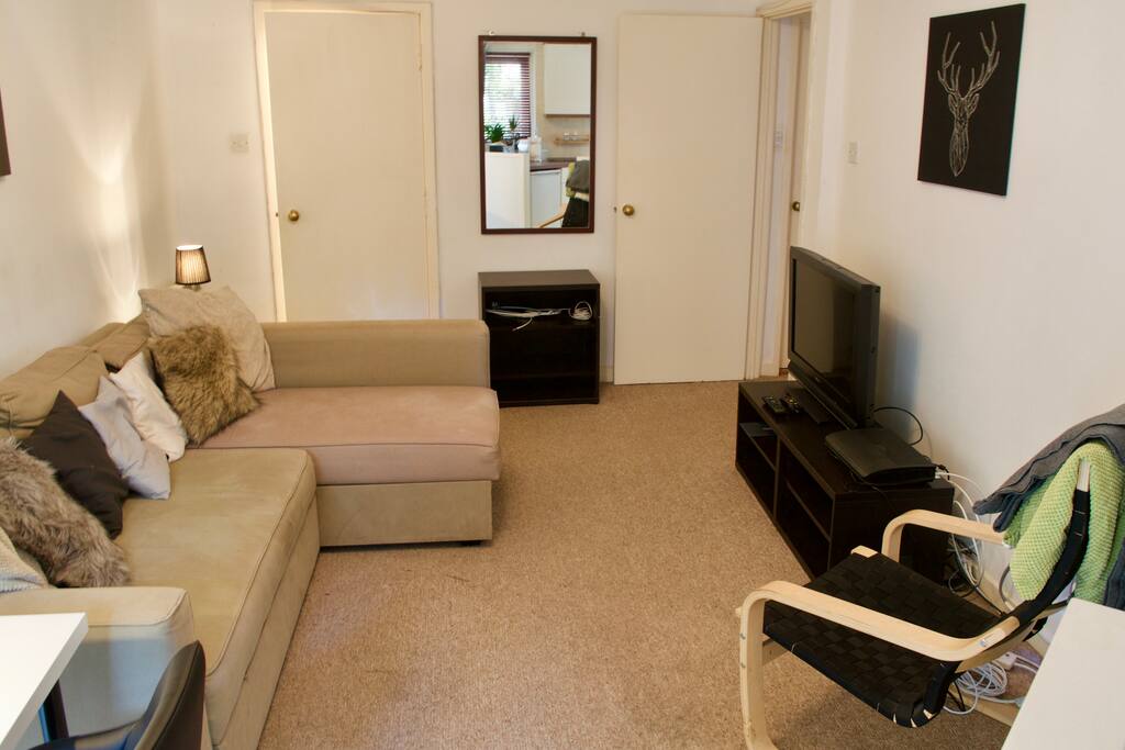The Living Area