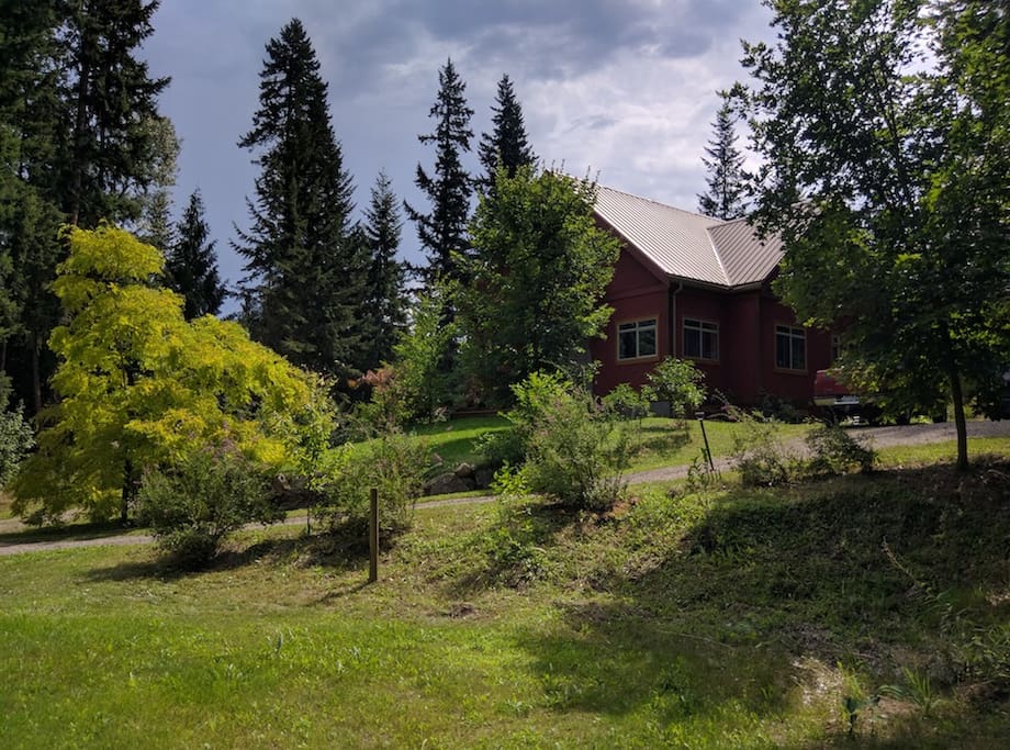 Front yard/driveway