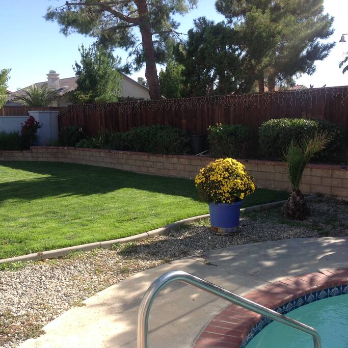 Back yard