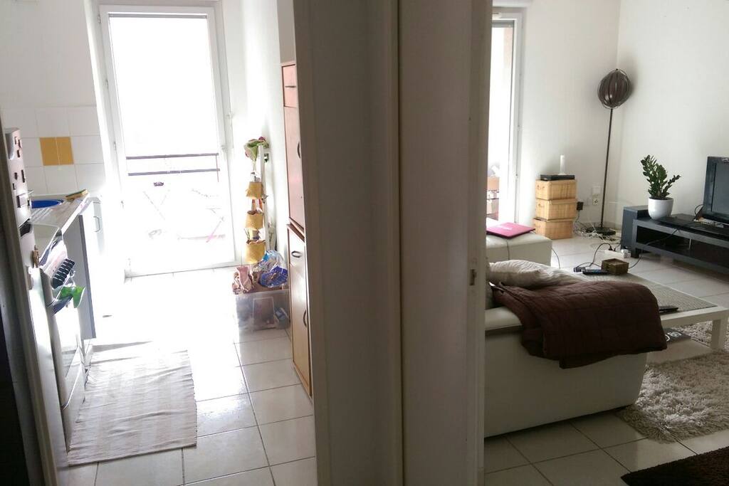 Vue dès l'entrée
