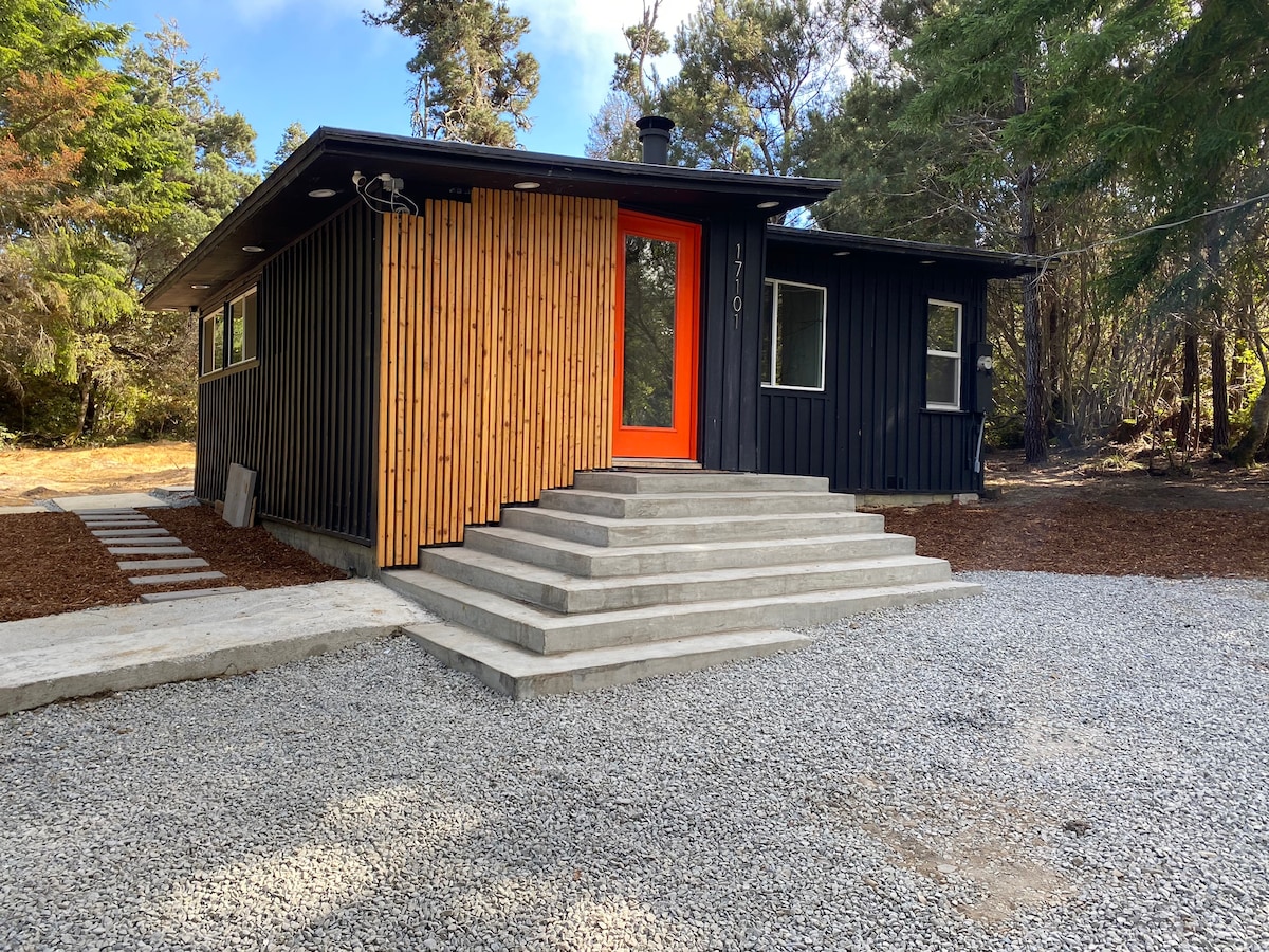 The cabin's exterior features a striking black facade complemented by natural wood accents. A bold orange door welcomes guests. A series of concrete steps lead up to the entrance, surrounded by gravel and forested landscaping, creating a tranquil retreat atmosphere.