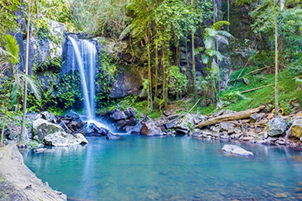 Tamborine Mountain.