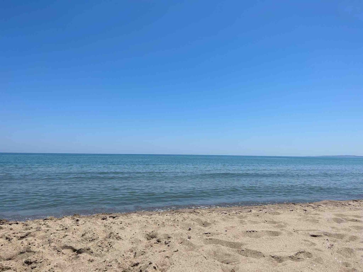 A sandy beach is portrayed, meeting calm blue waters under a clear sky. The gentle waves lapping at the shore create a serene atmosphere. The horizon offers a seamless blend of sky and sea, inviting a sense of tranquility.