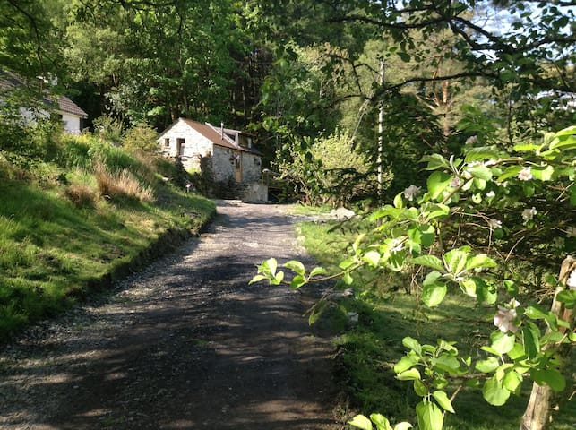 Airbnb County Donegal Ferienwohnungen Unterkunfte
