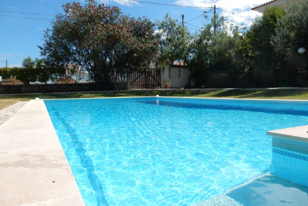 Large salt water pool
