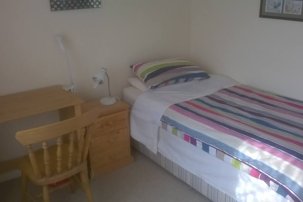 Large room with single bed and desk and built-in closet