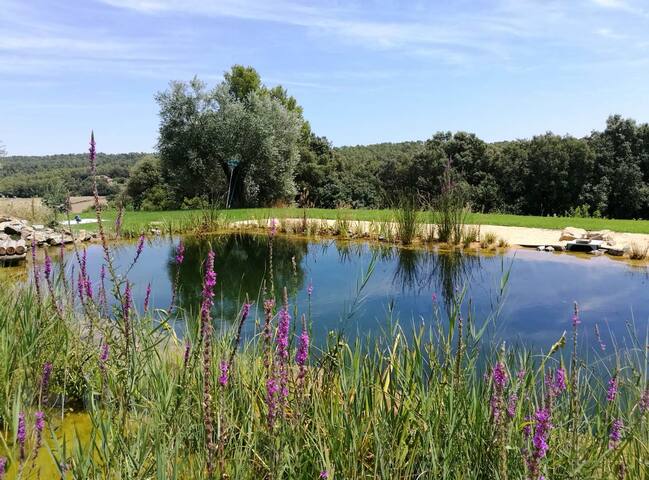 Casa historica con biopiscina gallery image 4