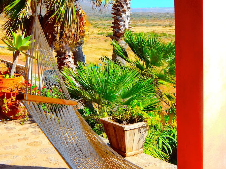 Lounge on the hammock and take in the sweeping ocean views.