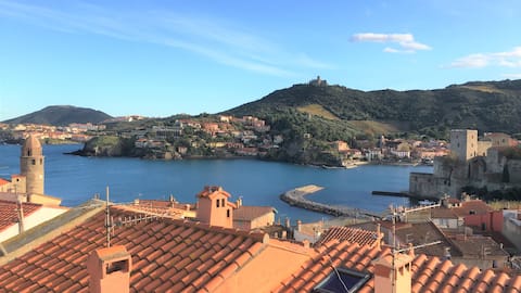 Propriété Airbnb réussie: Fisherman's house, terrace/ amazing wiew, garage à Collioure