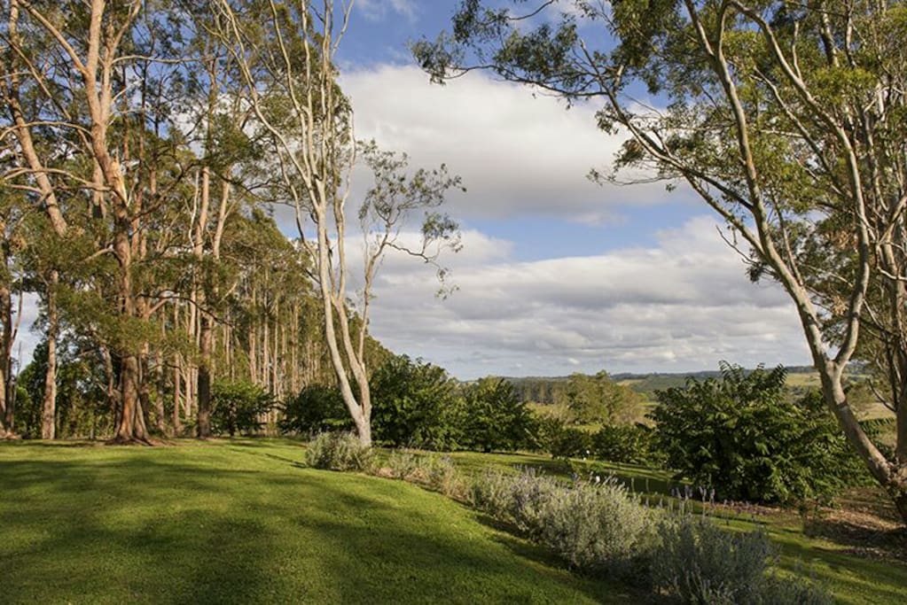 The hinterland views