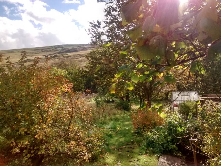Unspoilt views enjoyed from breakfast in the garden