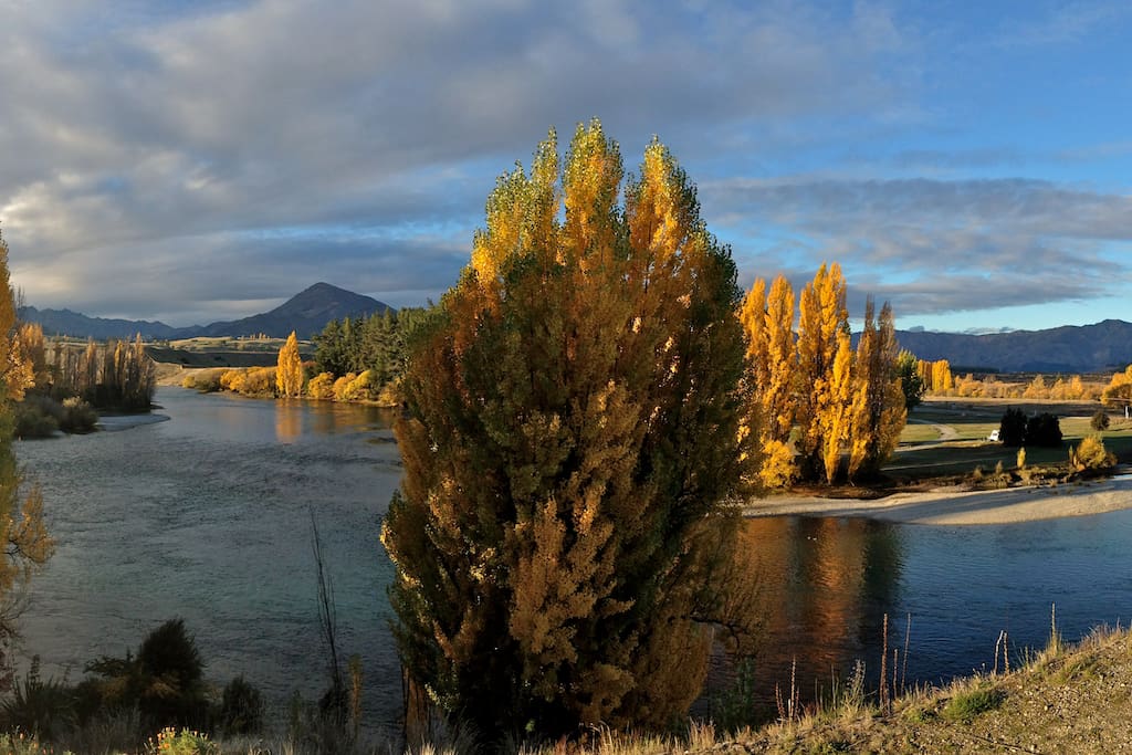 View over the Clutha River from the reserve in front of house in Autumn