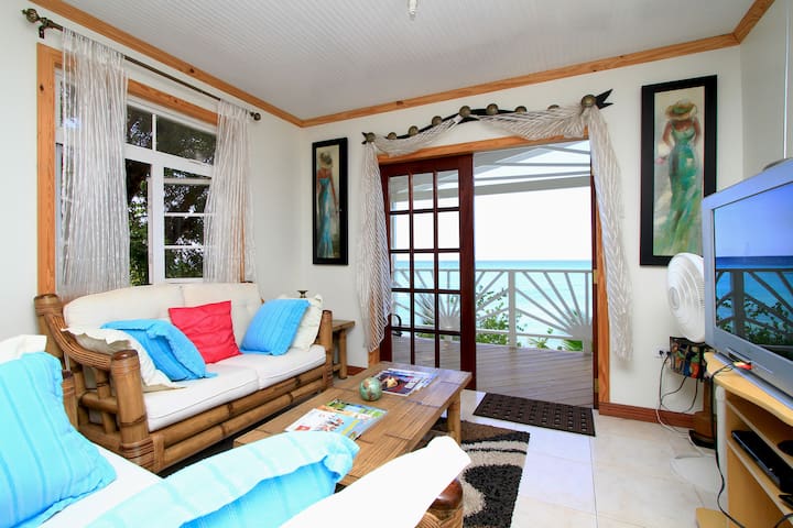 Plombagine Cottage- Beachfront, Wifi, Provisioning