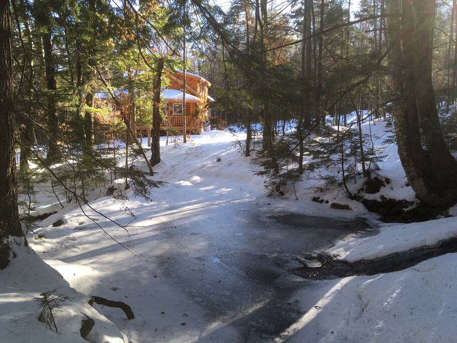 Stream Pool in winter.
