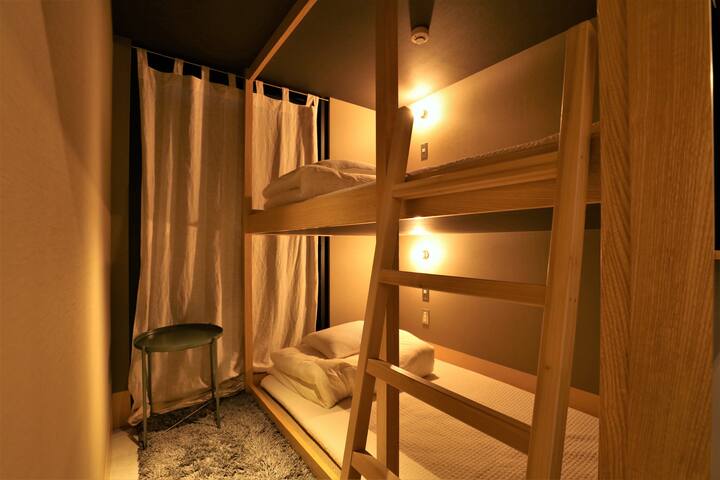 Tokyo-skytree direcr/Narita,Haneda aireport /clean gallery image 4