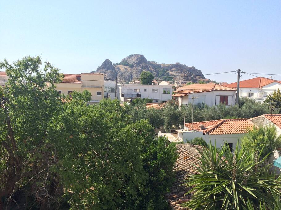 View | Morning