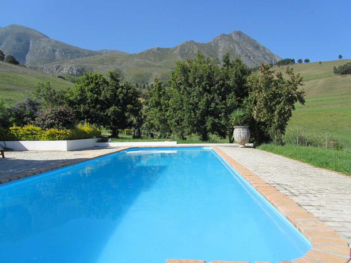 A clear blue swimming pool is set against a backdrop of rolling green hills and mountains. Lush trees line the area around the pool, offering shade and privacy. The pool area is surrounded by a paved patio, creating a spacious outdoor setting.