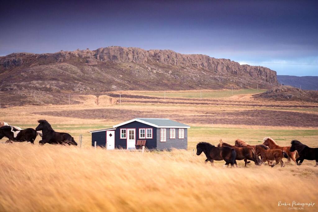 Stóri-Bakki cottage in autumn